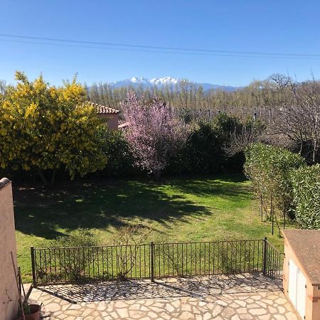 Au Mimosa -Gite Le Canigou Passa Zewnętrze zdjęcie