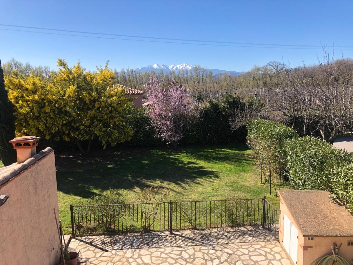 Au Mimosa -Gite Le Canigou Passa Zewnętrze zdjęcie