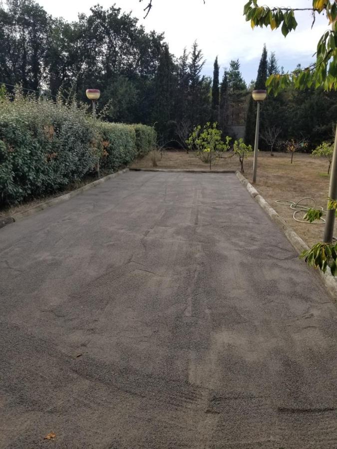 Au Mimosa -Gite Le Canigou Passa Zewnętrze zdjęcie